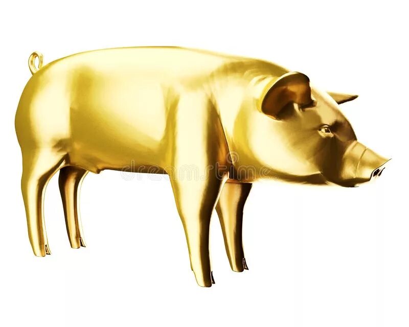 Приложение golden pig