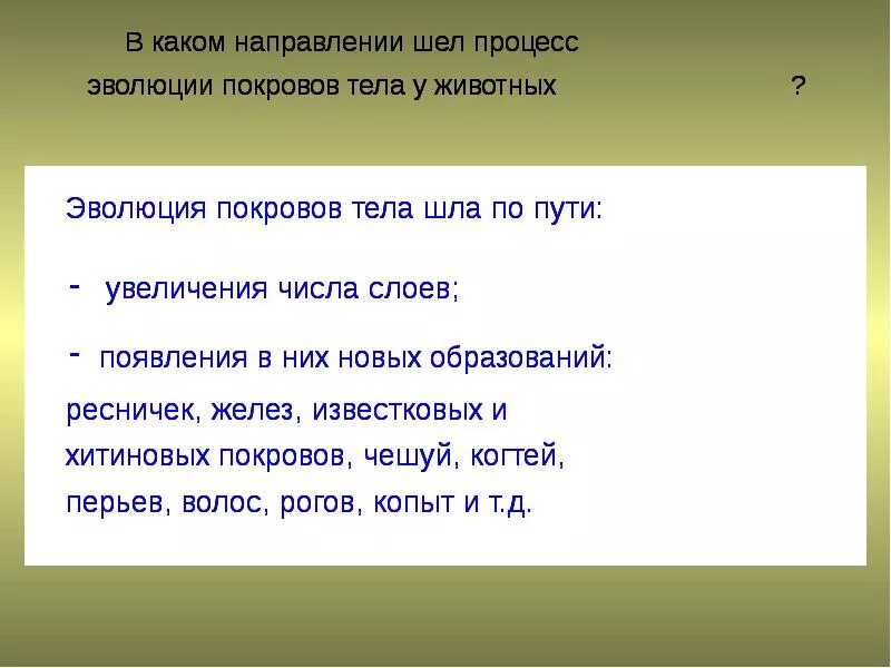 В каких направлениях шла эволюция трехслойных. Презентация на тему покровы тела животных. В каком направлении шла Эволюция покровов тела у животных. Направление эволюции покровов тела животных. Эволюция покровов тела животных и человека.