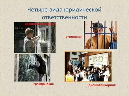 Какие виды ответственности несут граждане