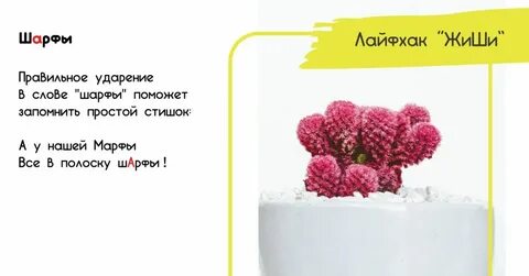 Красивее положила шарфы ударение