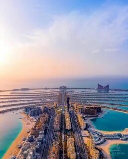 Dubai palm отзывы
