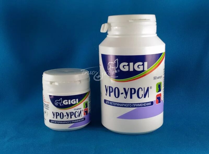 Gigi уро-урси. Уро-урси для кошек таблетки. Уро урси капли. Уро-урси для кошек таблетки. Уро урси.