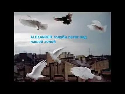 Голуби летят над нашей зоной текст песни