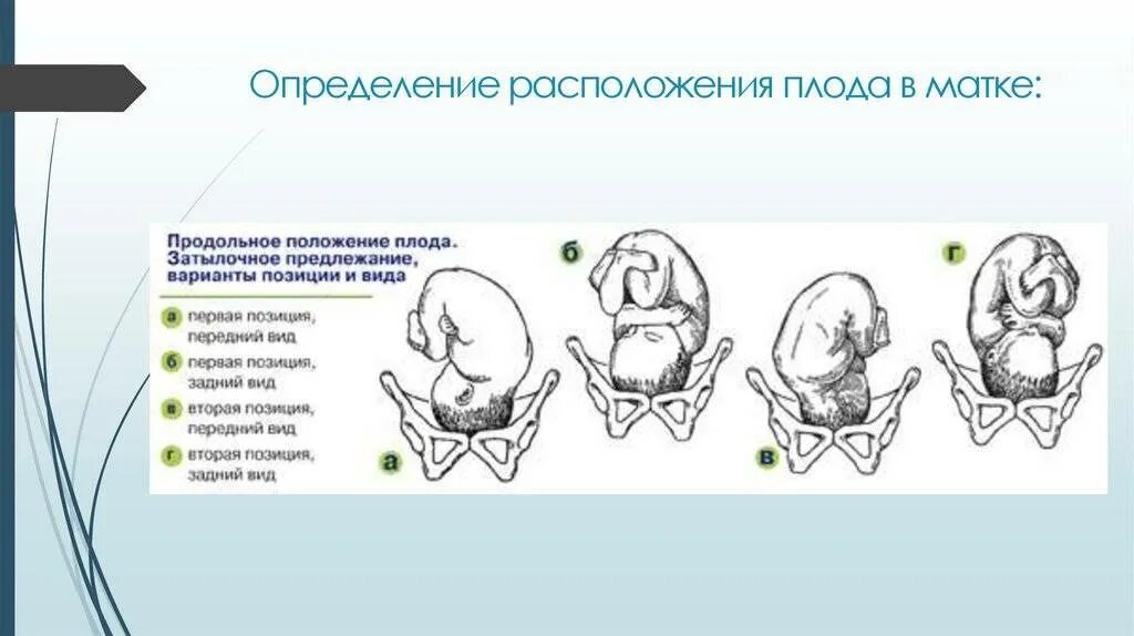Ребенок головой вниз при беременности