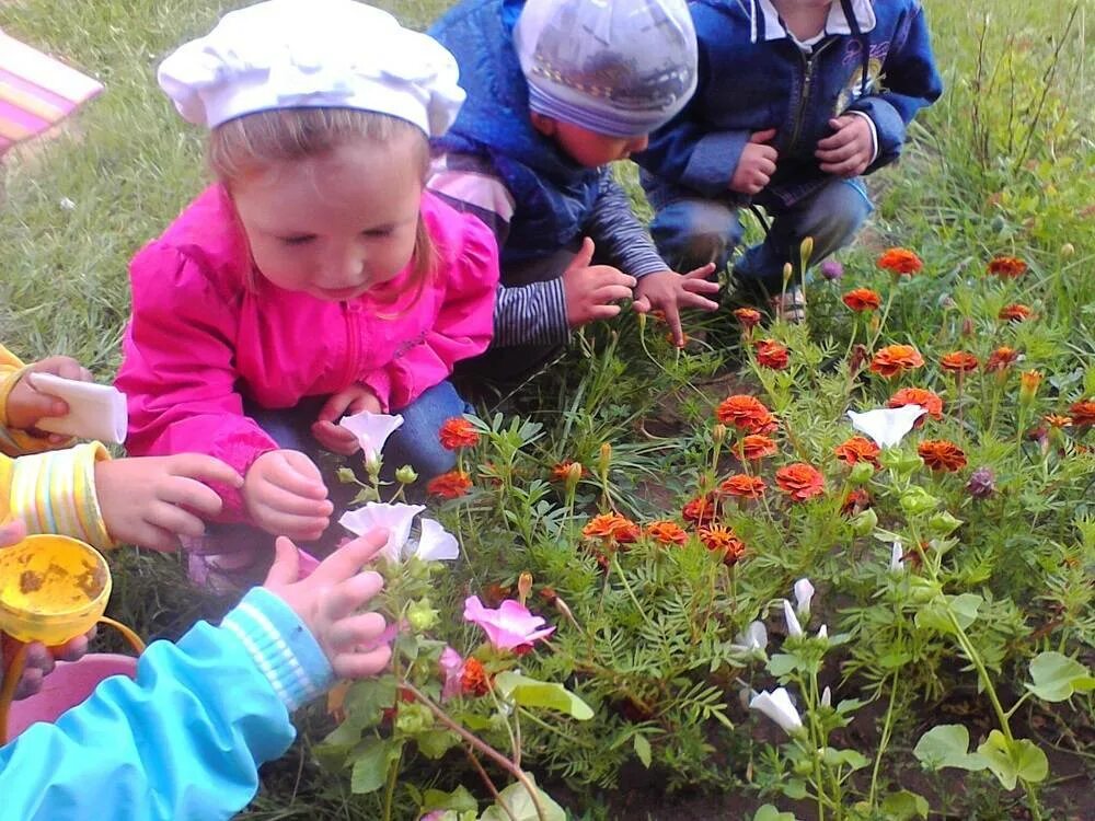 Наблюдение в детском саду. Наблюдение детей в природе. Наблюдения детей в саду. Дети наблюдают за растениями на улице. Организация наблюдения в природе