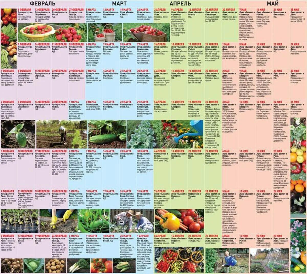 Лунный календарь на март месяц помидоры. Лунный календарь для рассады помидор. Посадка овощей в средней полосе России. Благоприятные для посадки томатов на рассаду. Благоприятные дни для пикировки рассады помидор.