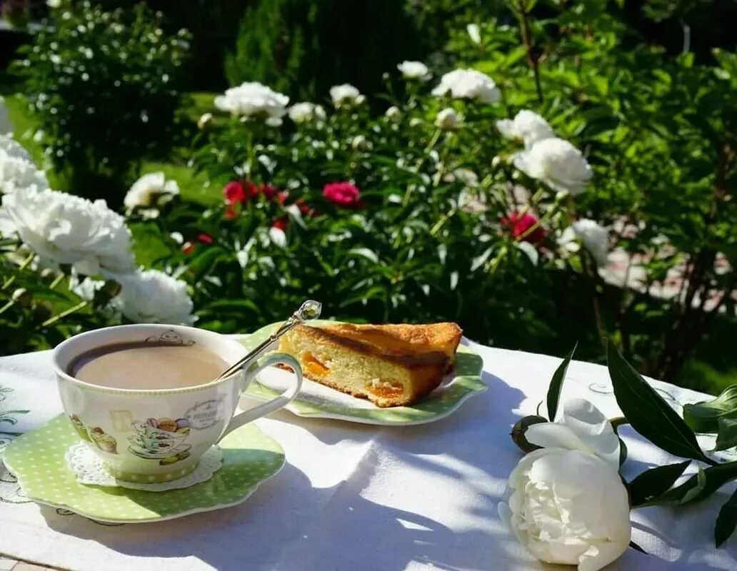 Весенний чай картинки. Чаепитие в саду. Завтрак в саду. Утренний кофе на природе. Завтрак на природе.