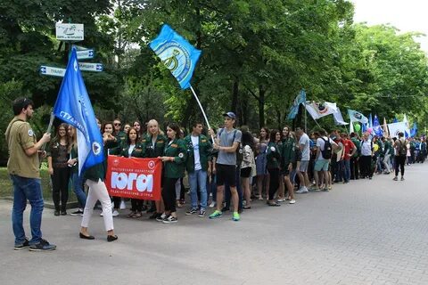 Студенческая трудовая