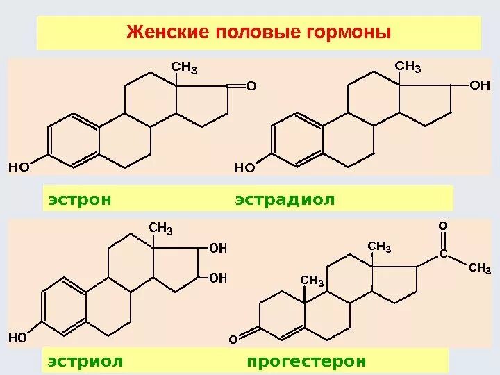 Женские половые гормоны 2. Гормоны эстрон эстриол эстрадиол. Эстрон гормон формула. Структура женских половых гормонов. Структура эстрадиола эстрона эстриола.