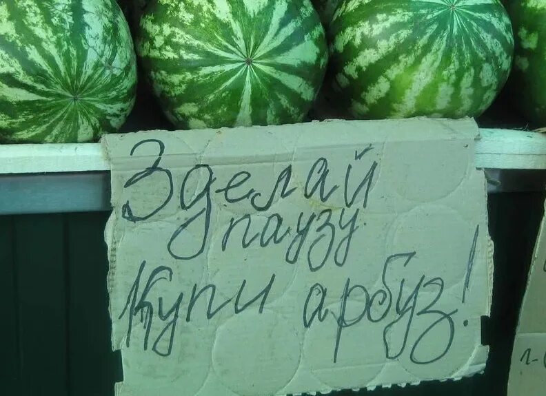 Прикол дынь дынь. Арбузы с надписью. прикольный арбуз. арбуз юмор. арбуз прикол.