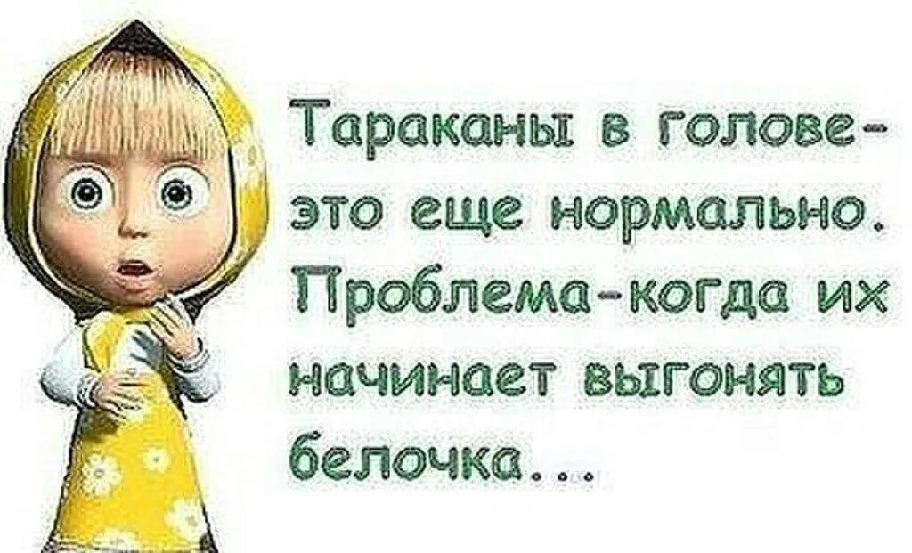 Тараканы в голове. Тараканы в моей голове. Смешное про тараканов в голове. Тараканы в голове приколы. Отсутствие тараканов в голове 11 букв