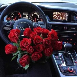 Светы в машине