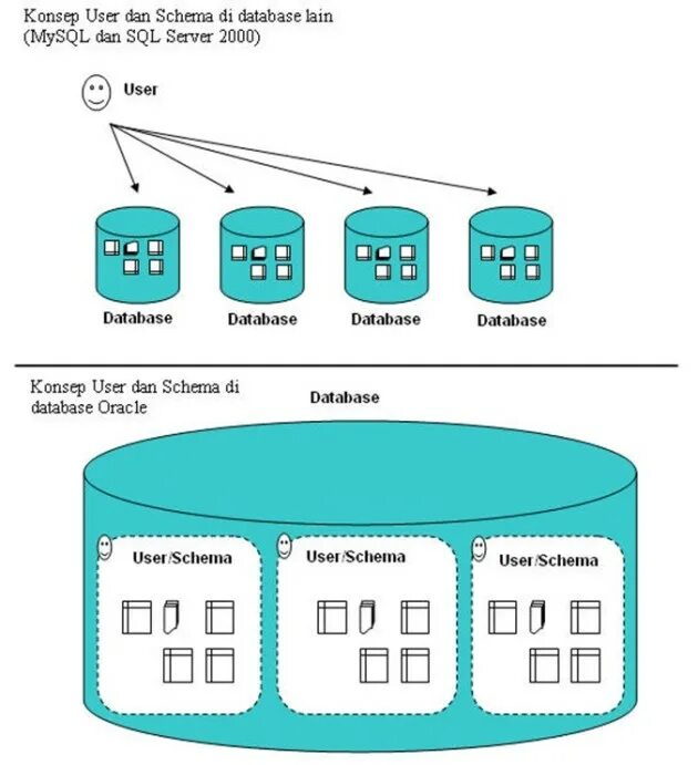 User db table users. Oracle схема базы данных. user и schema в чем разница.