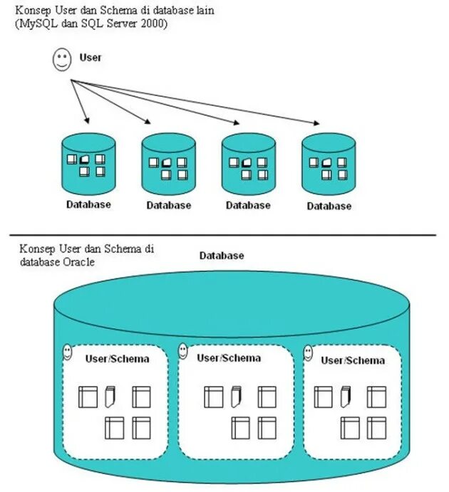 User schema