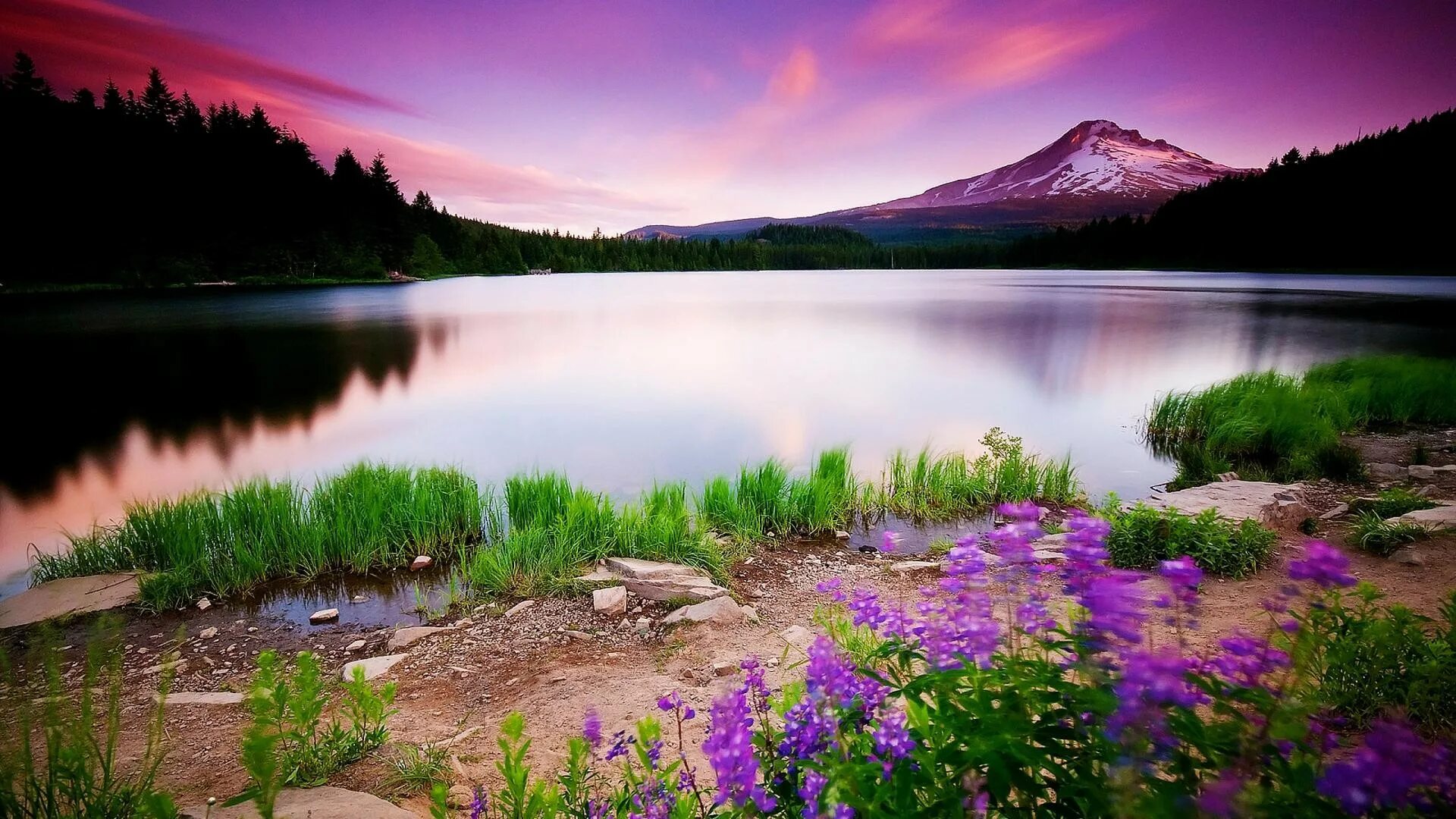 Image result for 4k nature Places to go, Places to travel, Beautiful places