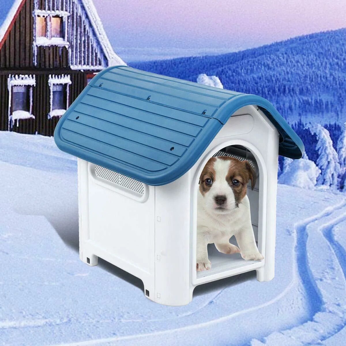 Pet дом. Будка для собаки зимняя. Пластиковый домик для собак. Будка для собаки пластик. Дворец для собаки.