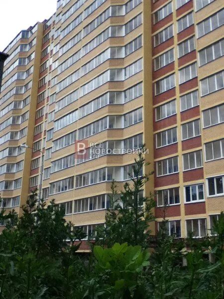 Поселок чкаловский щелково 3. Памятник ант 25 чкаловский. Щелково 3 поселок чкаловский. Щелково 3 поселок чкаловский. Город щелково бахчиванджи беляева.