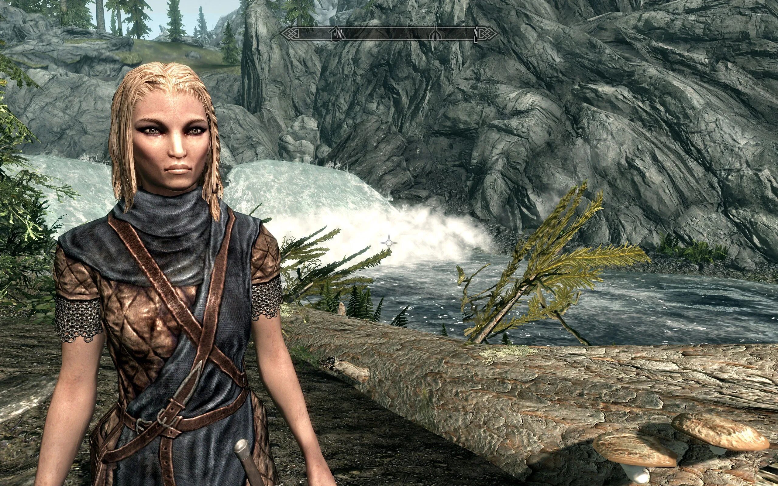 Скайрим новый персонаж. Skyrim Nord female. Девушка Норд скайрим. Скайрим Норды женщины. Норды в скайриме.