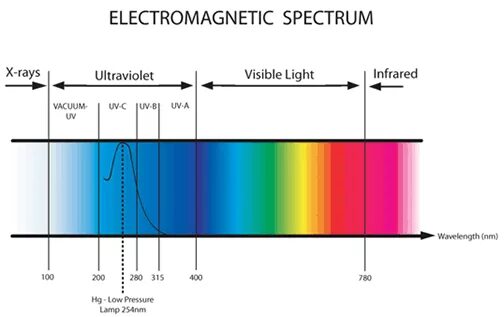 Spectra rays