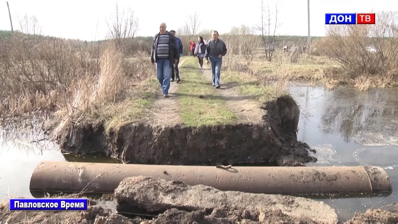 Лодочная станция Павловск Воронежская область. Реконструкция набережной в Павловске Воронежская область. Город Павловск Воронежская область ГОК. Уровень воды в дону в павловске