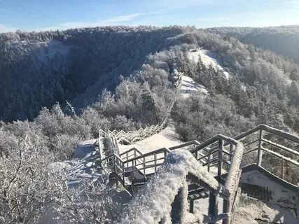 Зольное вилладж