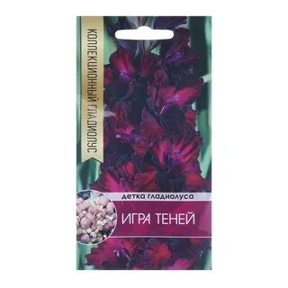 Гладиолус игра теней