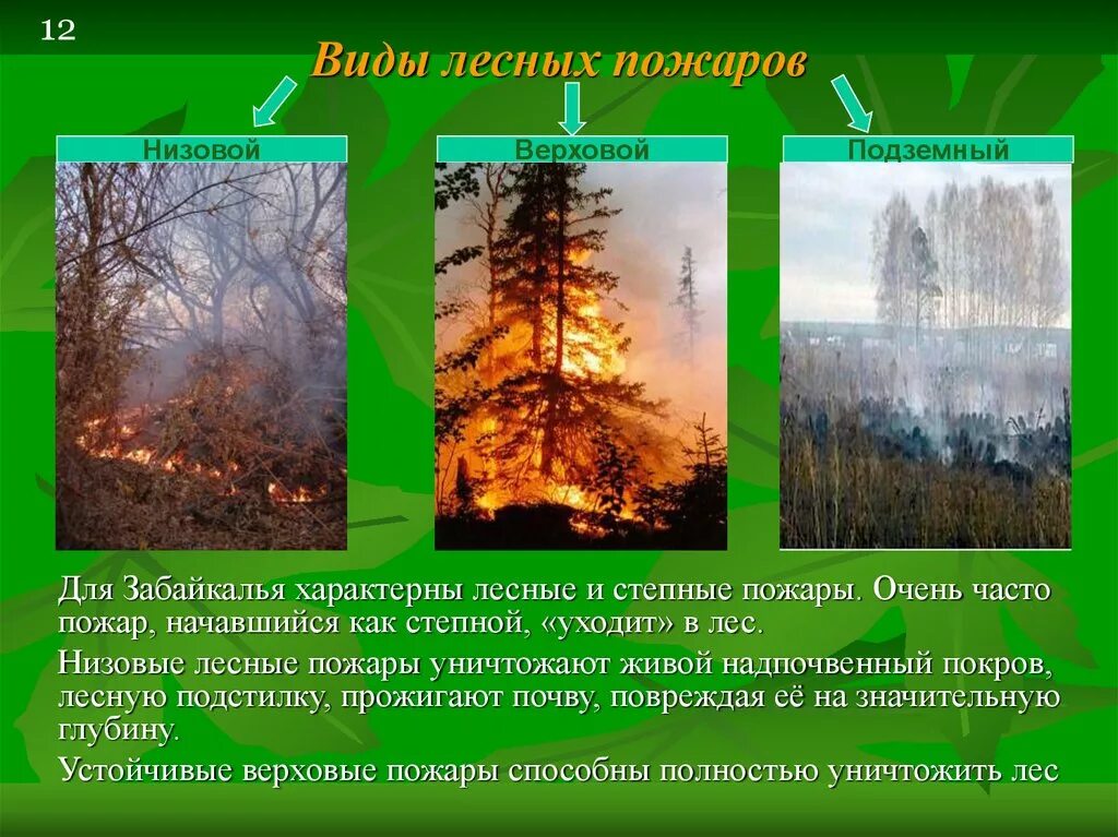 Виды лесных пожаров. Лесные пожары бывают трех видов. Типыподаров в лесу. Типы пожаров в лесу. Особенности природного пожара