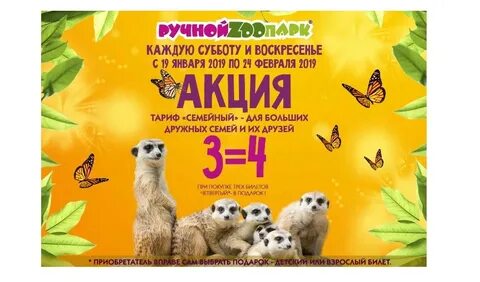 Зоопарк скидки в день рождения