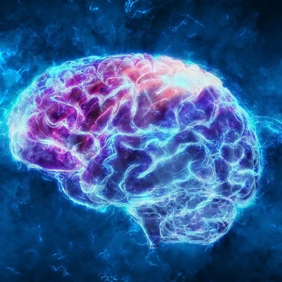 Картинка про мозг. Красивый мозг.