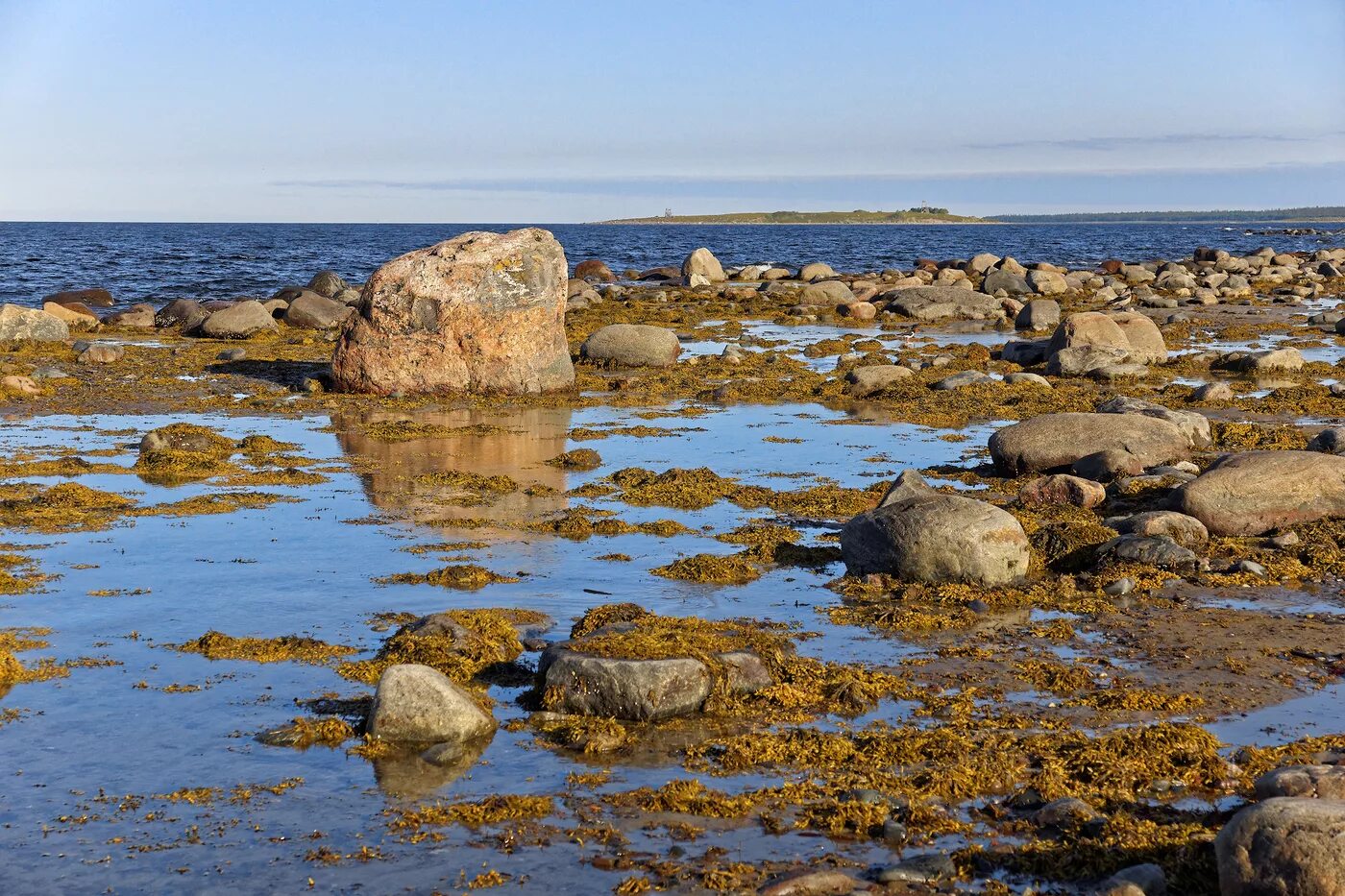 Тип белого моря. Южный берег белого моря. белое море отлив. побережье белого моря северодвинск ь. восточное побережье белого моря.
