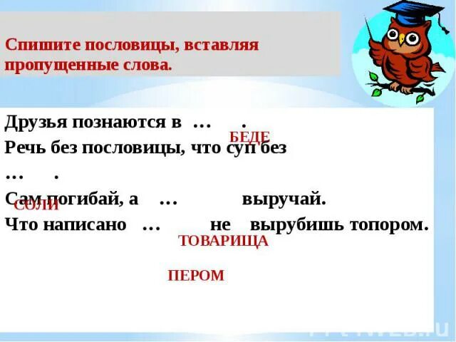 Пословицы списать. Спишите пословицы. Пословицы о списывании. Списать поговорки. Спиши пословицы подчеркни слова