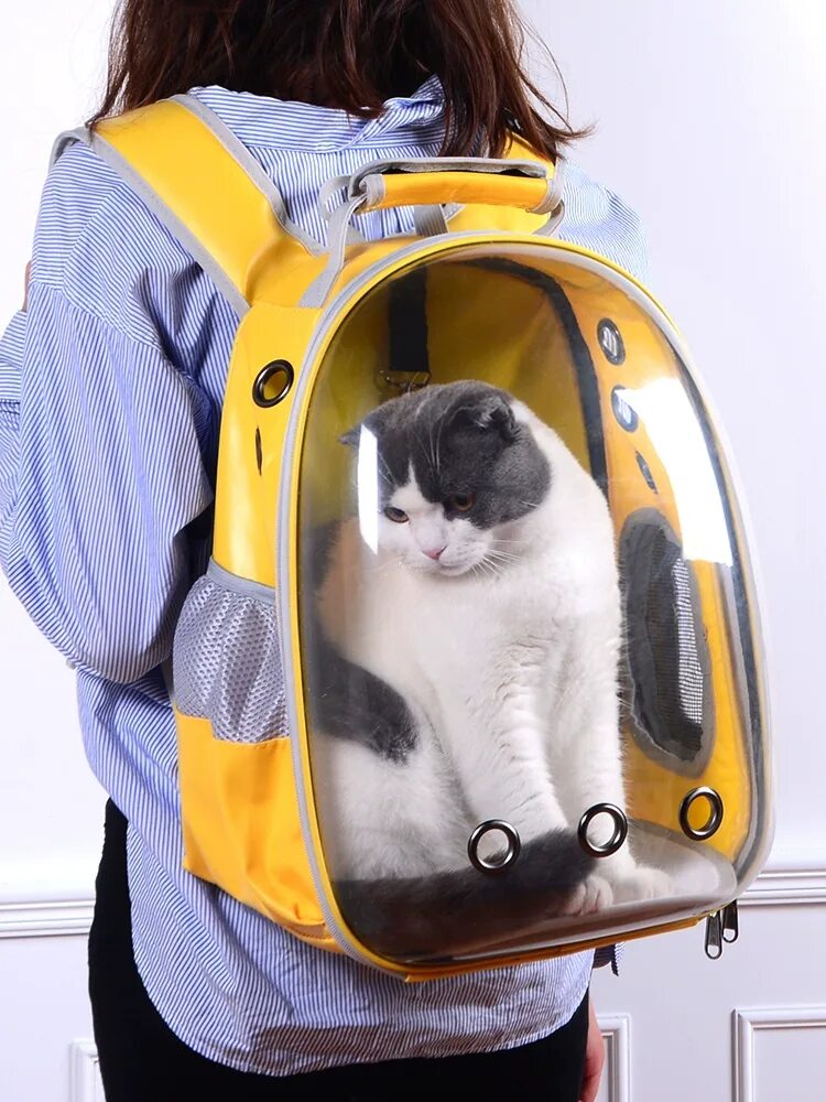 Переноска для кота. Cat Carrier переноска для кота. Pet Carrier 5 переноска. Рюкзак Триол с иллюминатором.