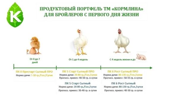 Можно ли бройлерам тыкву