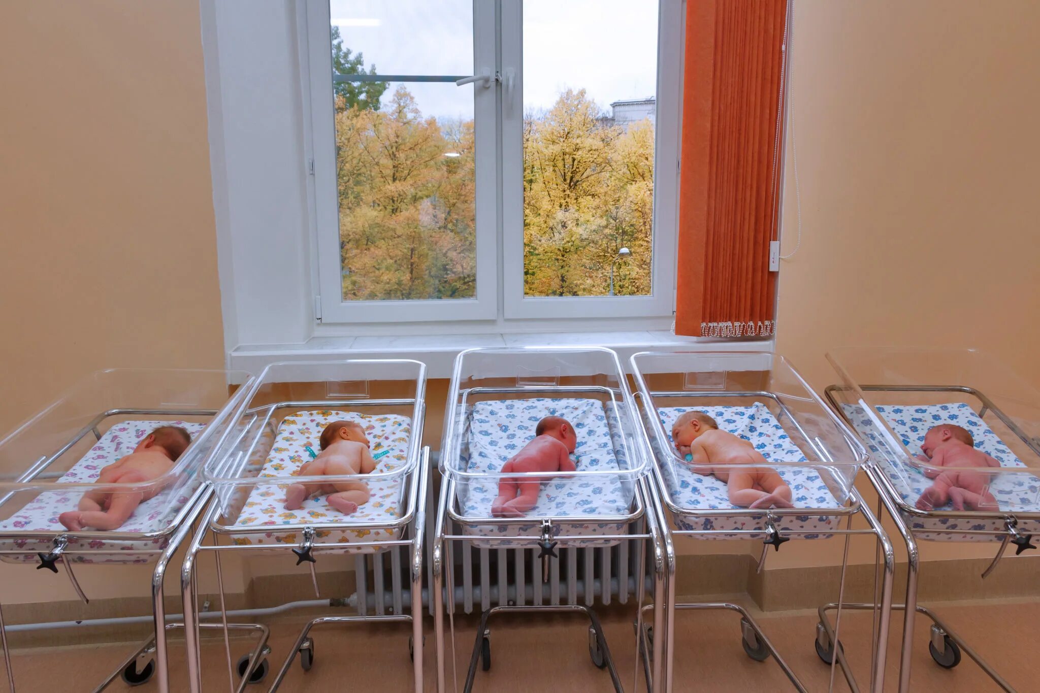 Роддом какой работает