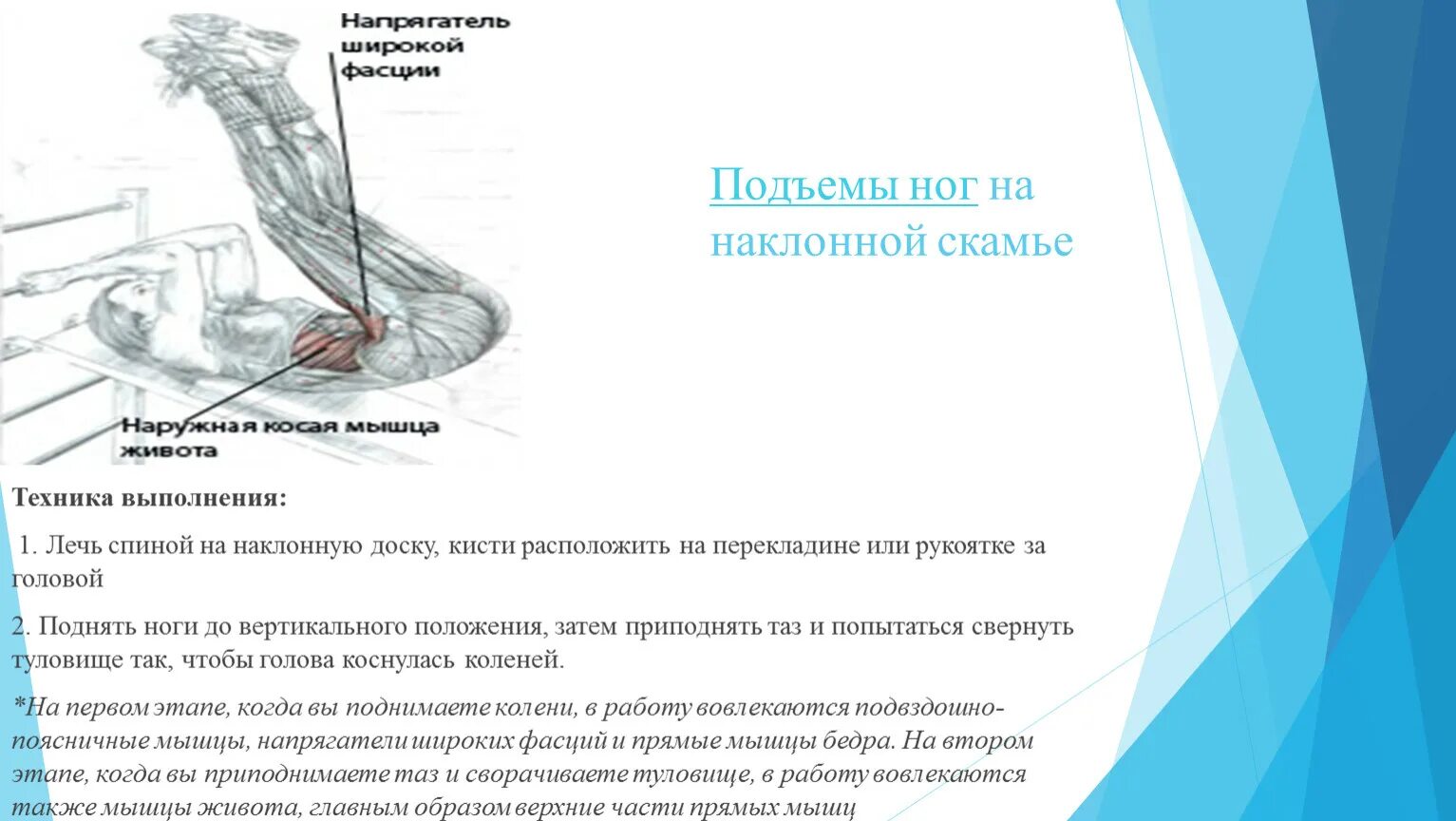 Техника выполнения подъема ног. Подъём ног на наклонной скамье техника выполнения. Подъем ног на наклонной скамье на пресс. Подъем корпуса техника выполнения. Подъем корпуса на наклонной скамье.