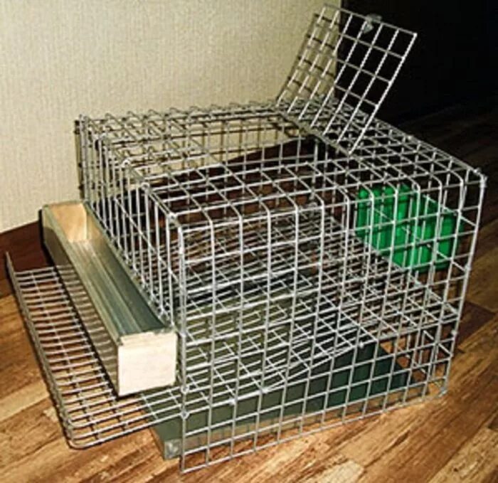 Клетка для перепелов кп 50. Мск клетки. Откормочные клетки для перепелов из сетки. Клетки для перепелов "мultipro" инструкция по сборке. Клетка для перепелов профессионал+ на 30 голов.