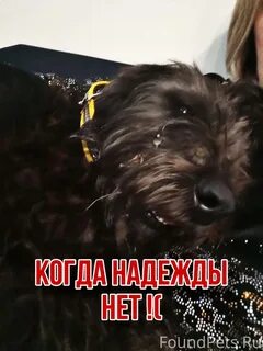 Реквизит ростов на дону