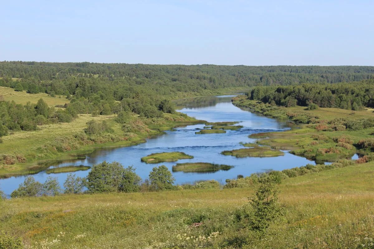 Река сить русь. Река Кубена в Харовске. Река Кубена Вологодская. Река Кубена Вологда. Река Кубена Харовский район.