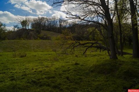 Александровская роща