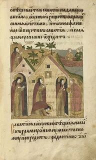 Савватий соловецкий житие