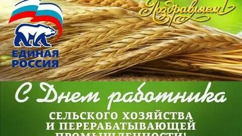 10 10 день сельского хозяйства