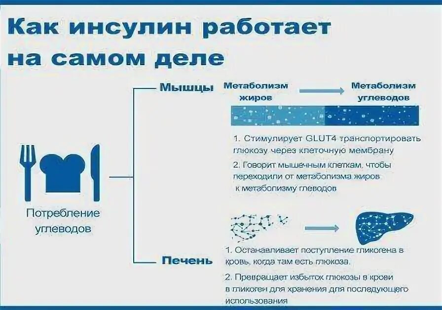 Почему высокий инсулин. Причины повышения инсулина. Высокий инсулин лишний вес. Инсулин и лишний вес. Инсулин и похудение.