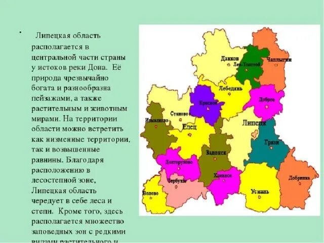 Административно-территориальное деление Липецкой области. Состав территории Липецкой области. Административно-территориальное устройство Липецкой области. Липецкая область расположение. Год образования липецкой области