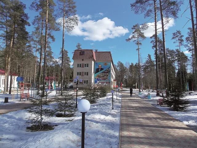 Дол городская область. Зелёный город лагерь им Тамары Трушковской. Дол зеленый город Ленинградская область. Детский оздоровительный лагерь зеленый город. Дол зеленый город им. Тамары Трушковской, посёлок победа.