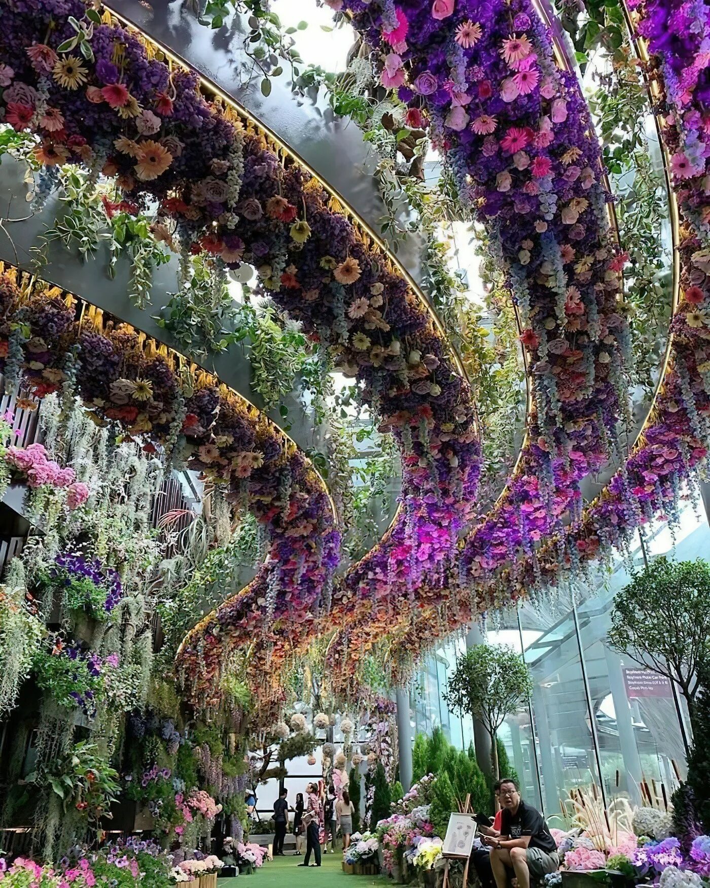 Удивительное о цветах. Сингапур, оранжерея 'Flower Dome'.. Гарден Бэй Сингапур оранжерея. Сады у залива Gardens by the Bay в Сингапуре. Сад Кавати Фудзи.