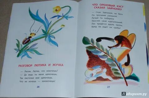 Жучка отзыв