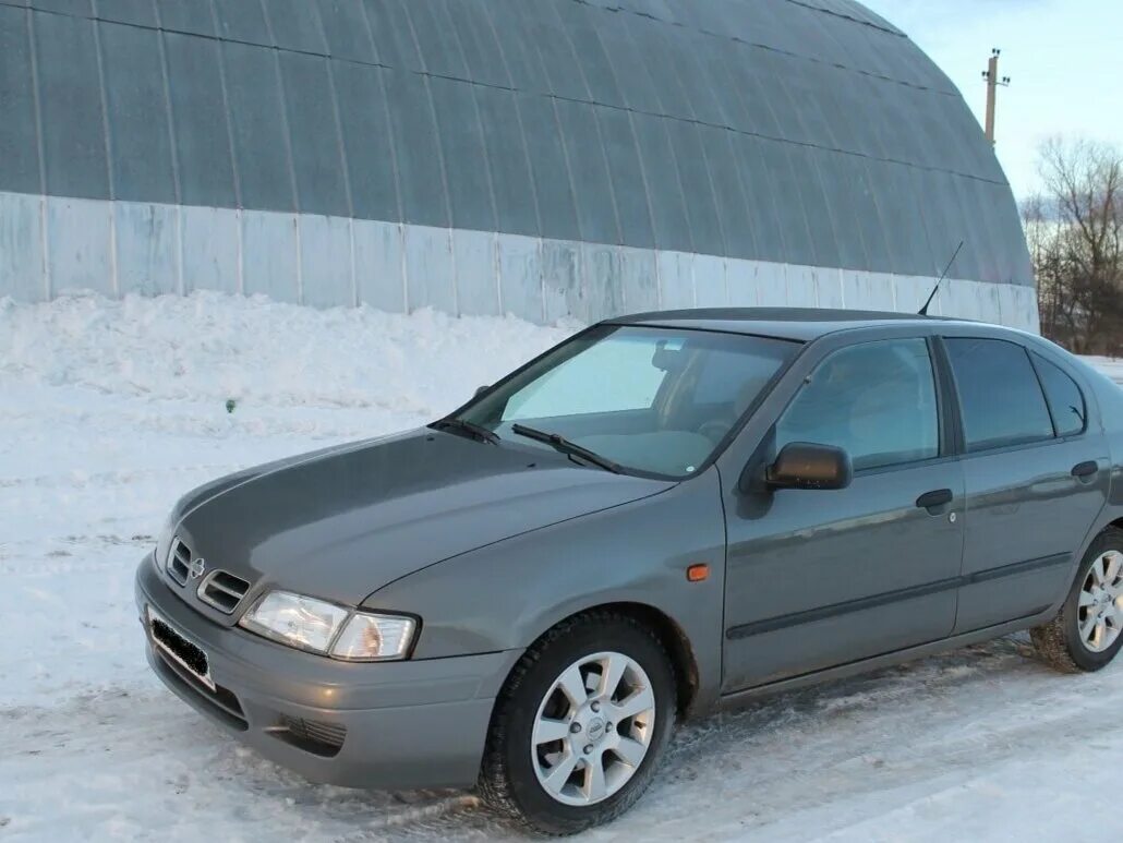 Nissan primera 1. Nissan primera 1. 1998 11. Nissan primera 1998 11 кузов. Nissan primera ii p11 1998.