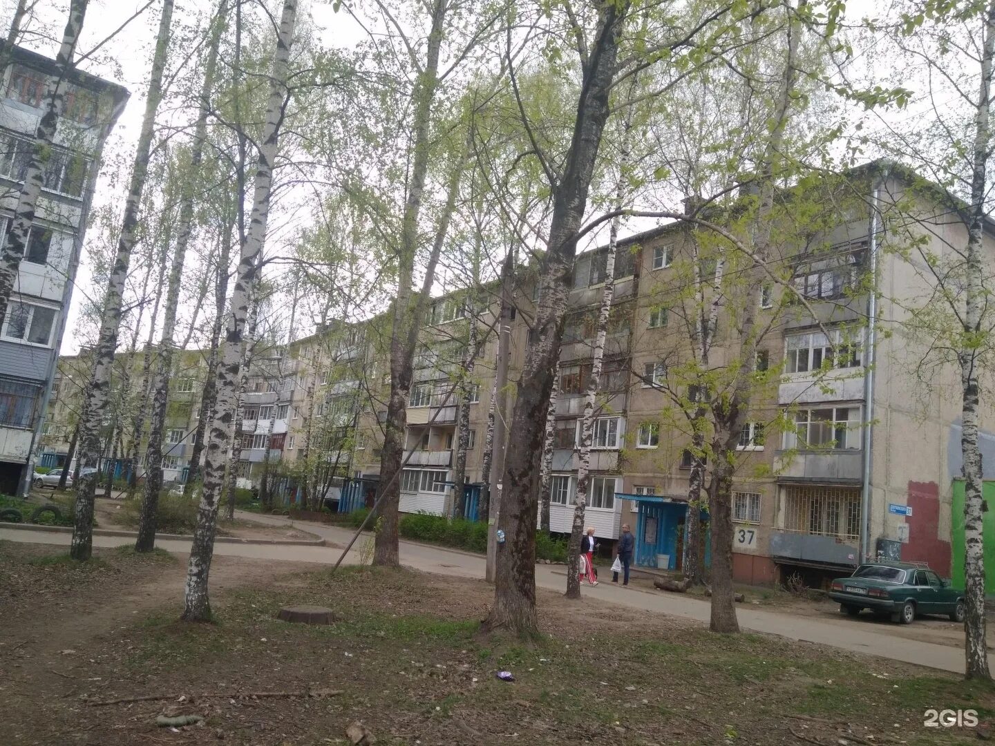 Пр дзержинского 38. Проспект дзержинского 38 новосибирск фото. Дзержинского 37 ярославль. Пр дзержинского 38. Пр дзержинского 38.