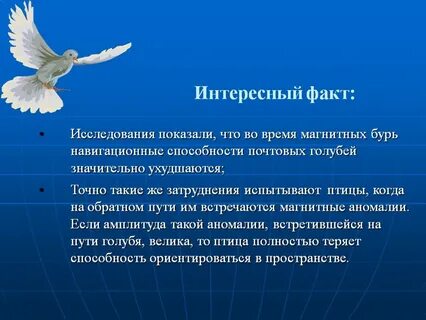 Факты исследований