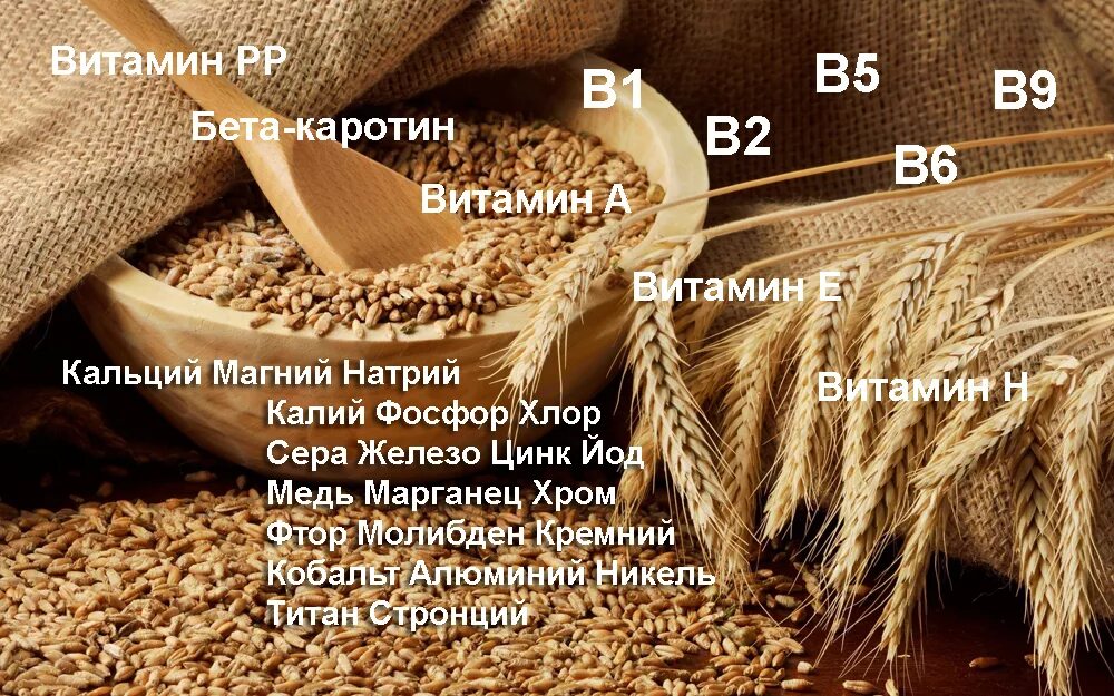 Ячмень состав. Витамины в пшенице. Пшеница полезные вещества. Какие витамины в пшенице. Ячмень витамины и микроэлементы.